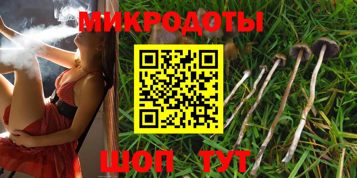 Усолье-Сибирское  Галлюциногенные грибы Psilocybe  Вход с VPN 